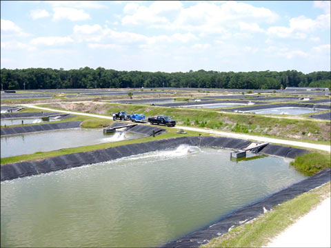 養(yǎng)魚、養(yǎng)蝦使用防滲膜(養(yǎng)殖膜)